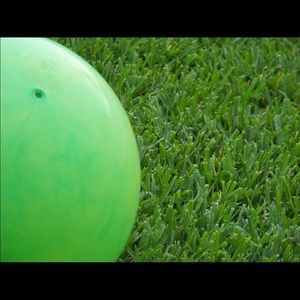 Meet your Posher, Carla